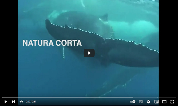 Natura corta booktrailer
