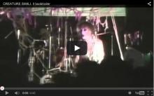 Creature simili booktrailer